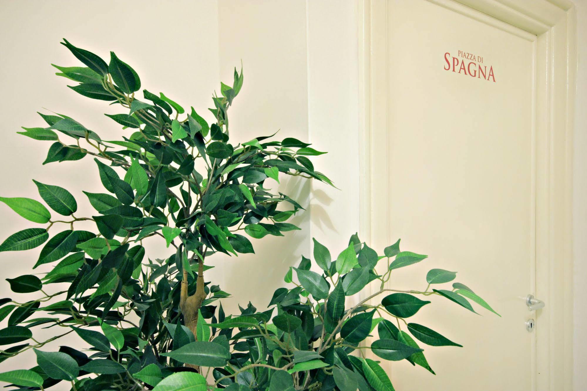 Bed & Breakfast Le Piazze Di